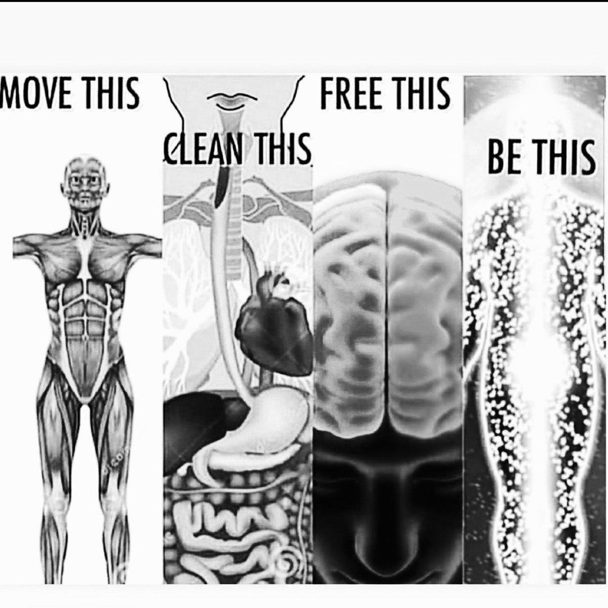 daoJiuJitsu's tweet photo. ✊🖤ONE TAP AT A TIME™️ #honesty #loyalty #respect #ettiquette #virtue #dignity #love #brazilianjiujitsu #jiujitsufundamentals #onetapatatime #daojiujitsu https://t.co/7Qc5KwJmfY