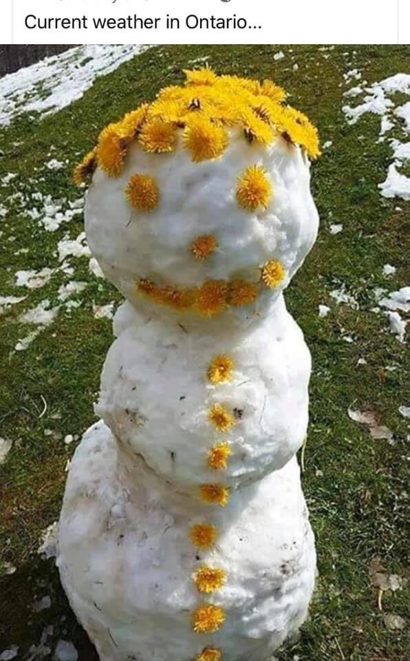 blaufman's tweet image. Yup! 
#CanadianSpring