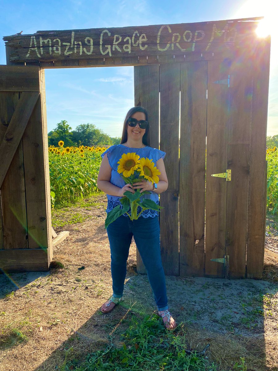 This was a perfect evening outing for #sunflowers and #socialdistancing!! The weather and the flowers were so beautiful that I had a fun little photo shoot!! Thanks <a href="/AGcropmaze/">AmazingGraceCropMaze</a> 🌻🌻