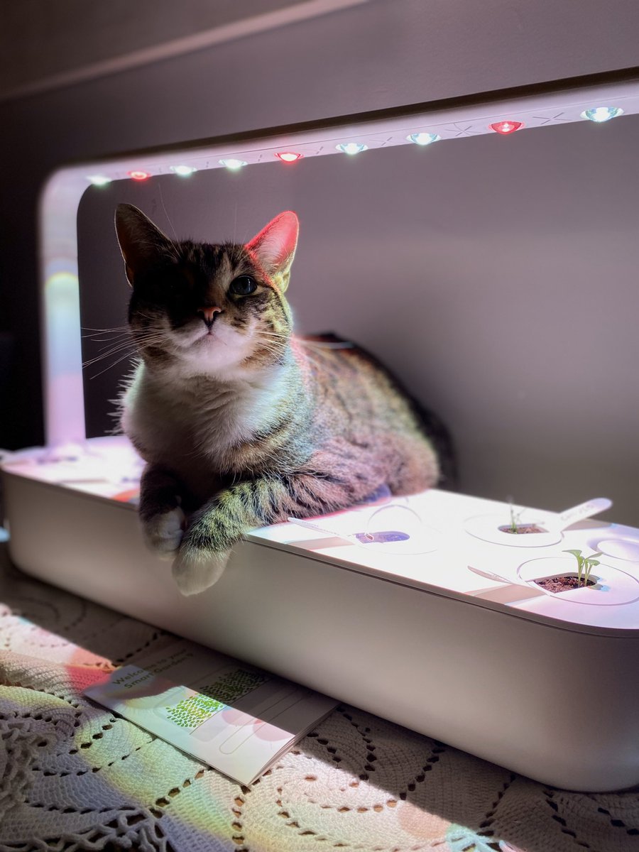 MikeScienceCat tweet picture