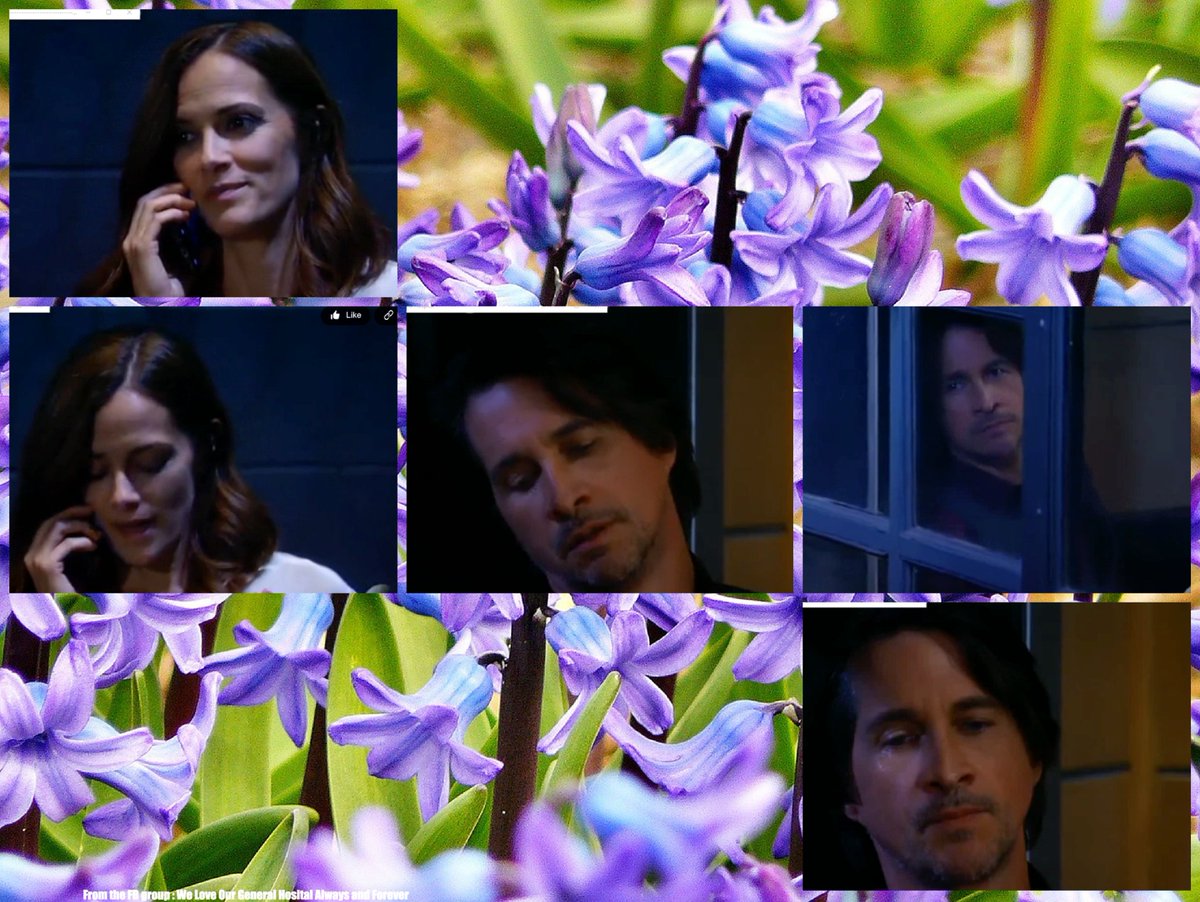 Angels4Aubrey's tweet photo. Namoi, #HammyHay, #Trinn @Robin_Riker @RebeccaBudig @MichaelEastonFG https://t.co/M3ZGxU94hd