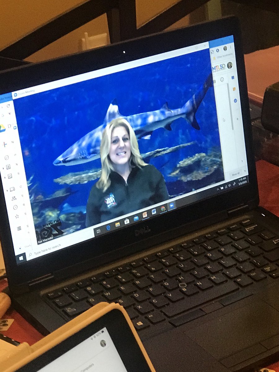 LibraryMakerLab's tweet photo. Check out our #hawksome Morning Announcements. Each day is a new adventure! You never know where we’ll take you! #GreenScreen #LeboProud https://t.co/HNxal53nXo https://t.co/jbAmGxMQVP
