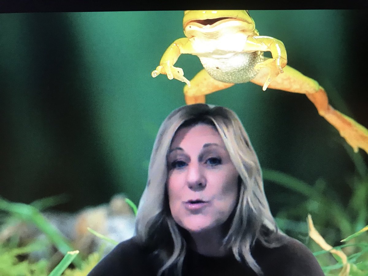 LibraryMakerLab's tweet photo. Check out our #hawksome Morning Announcements. Each day is a new adventure! You never know where we’ll take you! #GreenScreen #LeboProud https://t.co/HNxal53nXo https://t.co/jbAmGxMQVP