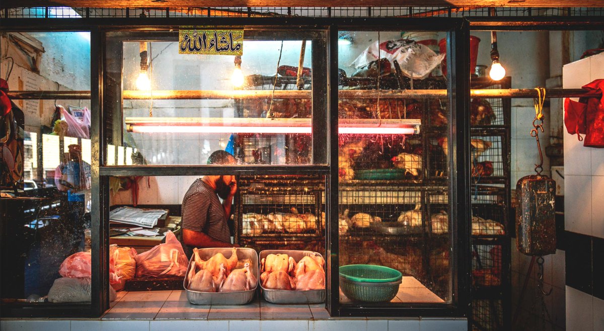 S_MorningLight's tweet photo. #POULTRY #BUTCHER, #COLPETTYMARKET, #COLOMBO #3
#SriLanka, April 2018: https://t.co/0RHC0GZug8
#streetphotography #travelphotography #butcher #poultry #marketstall #wetmarket #marketsofcolombo #lifeincolombo #streetsofcolombo #everydaysrilanka #canonsrilanka #6D #24_105mm_f4L https://t.co/8Js6XazGGc