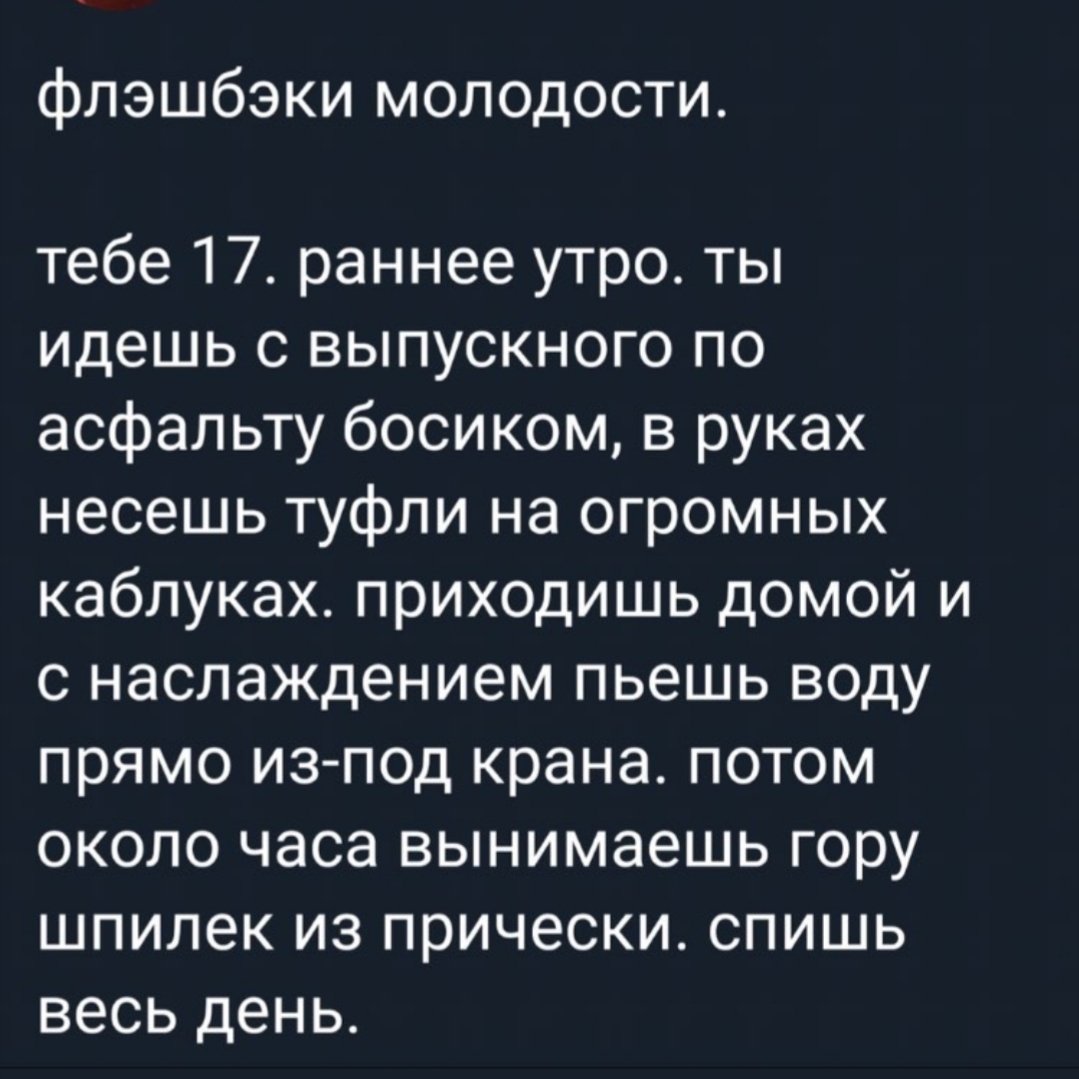 D. tweet media
