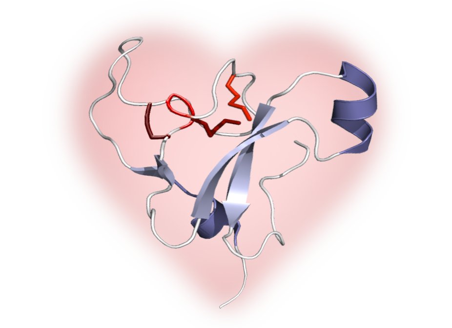 Yanni Chin (@yannikychin) on Twitter photo My ❤️shaped spider🕷️ toxin that spells "LOVE"... This structure, along with 4 of my others are part of this uber cool structural venomic project with Sandy Pineda, <a href="/EivindUndheim/">Eivind Undheim</a>, <a href="/MobliLab/">Mobli Lab</a> and <a href="/VenomsLab/">Glenn King</a>. So happy to see it finally published in PNAS!
pnas.org/content/early/… My ❤️shaped spider🕷️ toxin that spells "LOVE"... This structure, along with 4 of my others are part of this uber cool structural venomic project with Sandy Pineda, <a href="/EivindUndheim/">Eivind Undheim</a>, <a href="/MobliLab/">Mobli Lab</a> and <a href="/VenomsLab/">Glenn King</a>. So happy to see it finally published in PNAS!
pnas.org/content/early/…