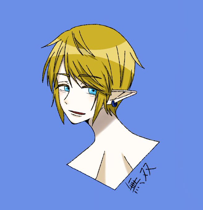 ゼルダ無双ハイラルオールスターズのtwitterイラスト検索結果 古い順