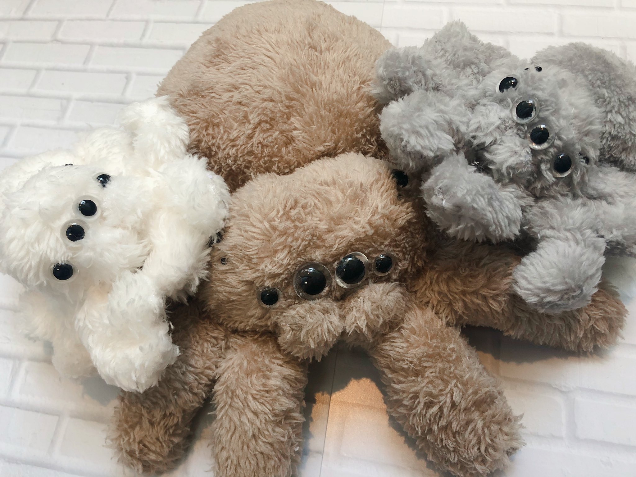 2024-25 秋冬新作  にくもちの赤ちゃん🧸ハエトリグモぬいぐるみ🐣 on X ぬいぐるみ