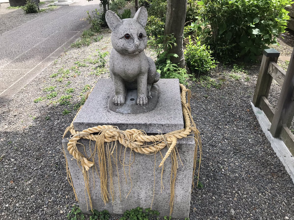 irebun いれぶん🇯🇵 tweet media
