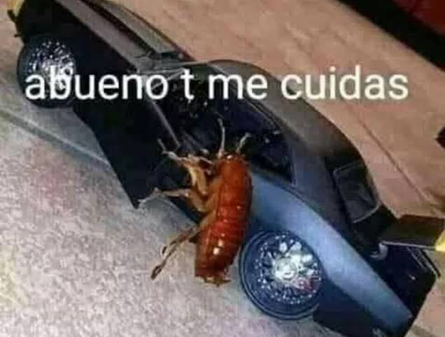 Lgisus11's tweet photo. Pos los vecinos se calmaron y nos dijeron que ya no hagamos esas cosas y eso somos chavos y se fueron como si nada https://t.co/VqrJ1IjjTY