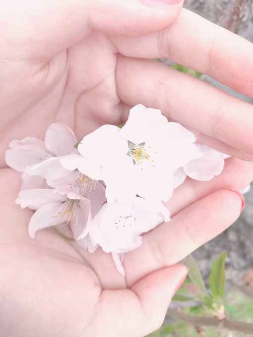 Twitterのコスプレ画像7