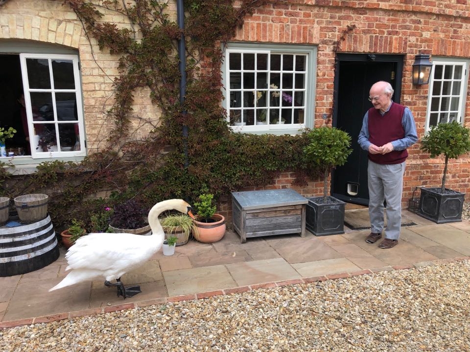 Sticking to the new rules - one visitor, outdoors, maintaining social distance . . .