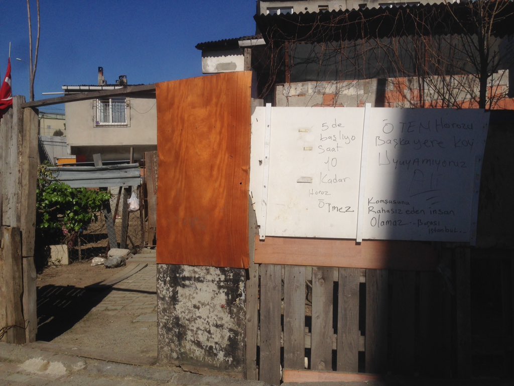 Memleket insanı 😄