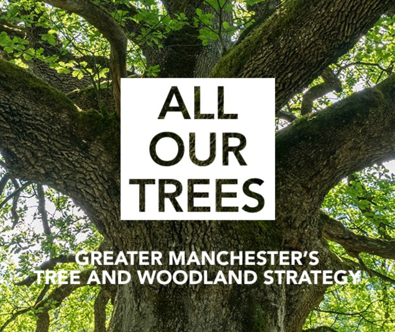If you missed it - yesterday was the launch of All Our Trees - Greater Manchester's tree &amp; woodland strategy endorsed by the <a href="/greatermcr/">Greater Manchester Combined Authority</a> #GMGreenCity. Produced with the support of <a href="/GreenBlueUrban/">GreenBlue Urban</a>