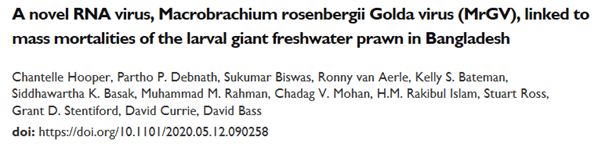Our paper describing a novel RNA virus linked to mass mortalities of Macrobrachium rosenbergii larvae in Bangladesh is now available to read as a biorxiv #preprint. biorxiv.org/content/10.110…. See thread for key results! <a href="/CefasGovUK/">Cefas</a> <a href="/endomyxan/">David Bass</a> @grantstentiford <a href="/aquagenomics/">Ronny van Aerle</a> (1/5)