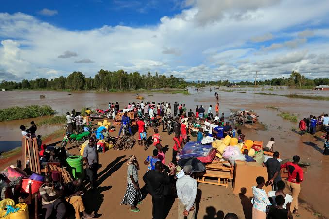 Elizabeth Wathuti , O.G.W 🇰🇪 tweet media