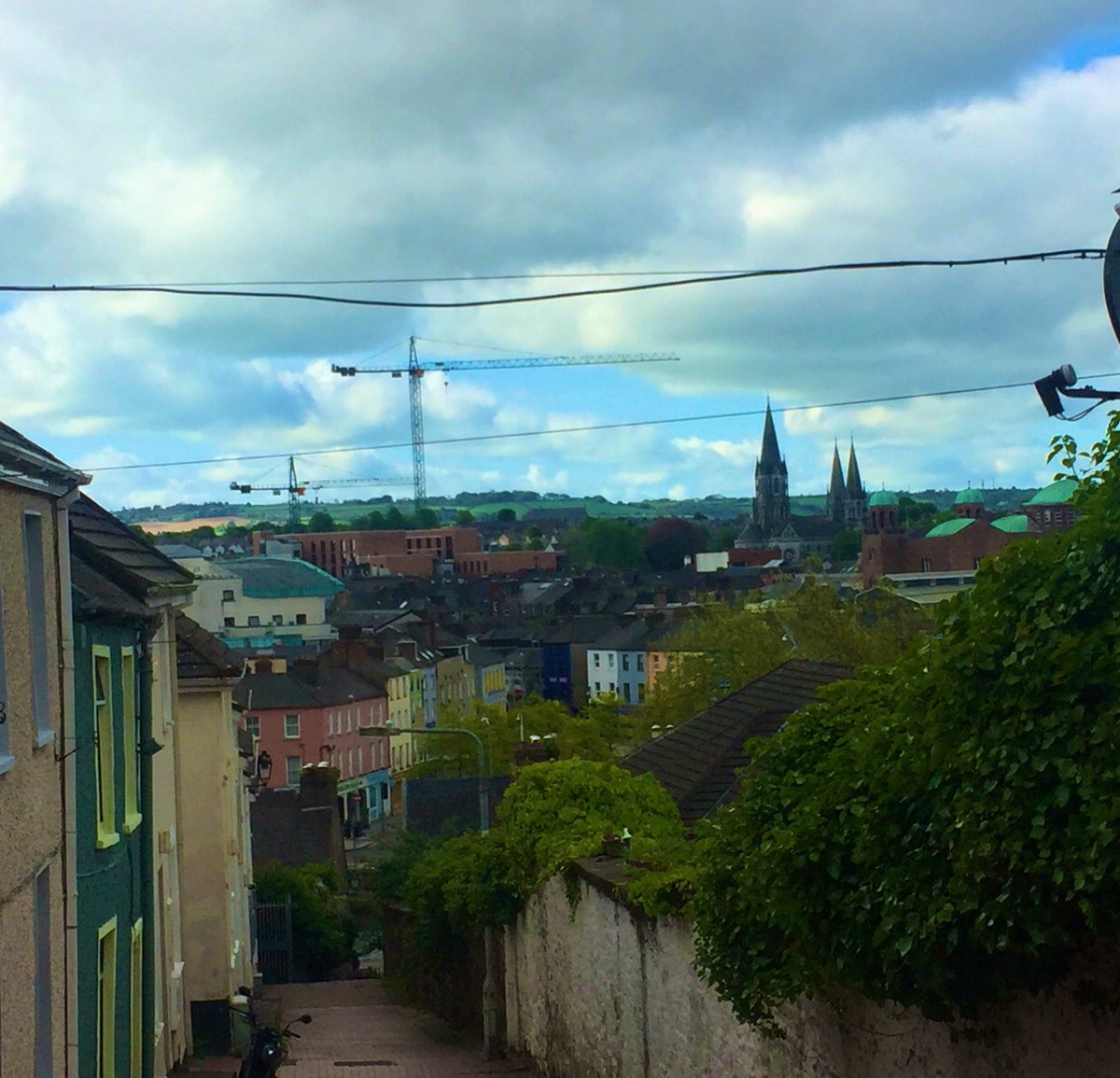 Niall Murray tweet media