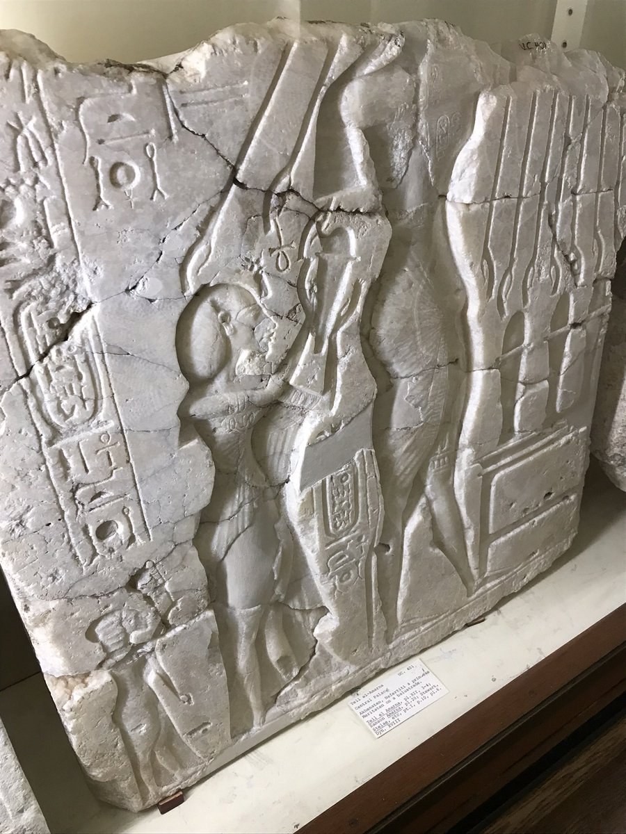 (7) here are two beautiful depictions of Akhenaten, the 18th Dynasty pharaoh, also known as the Heretic, for turning away from pantheism to focus solely on the Aten. Nefertiti was his Great Wife and he’s most probably the father of Tutankhamen  @PetrieMuseEgypt  #MuseumsUnlocked