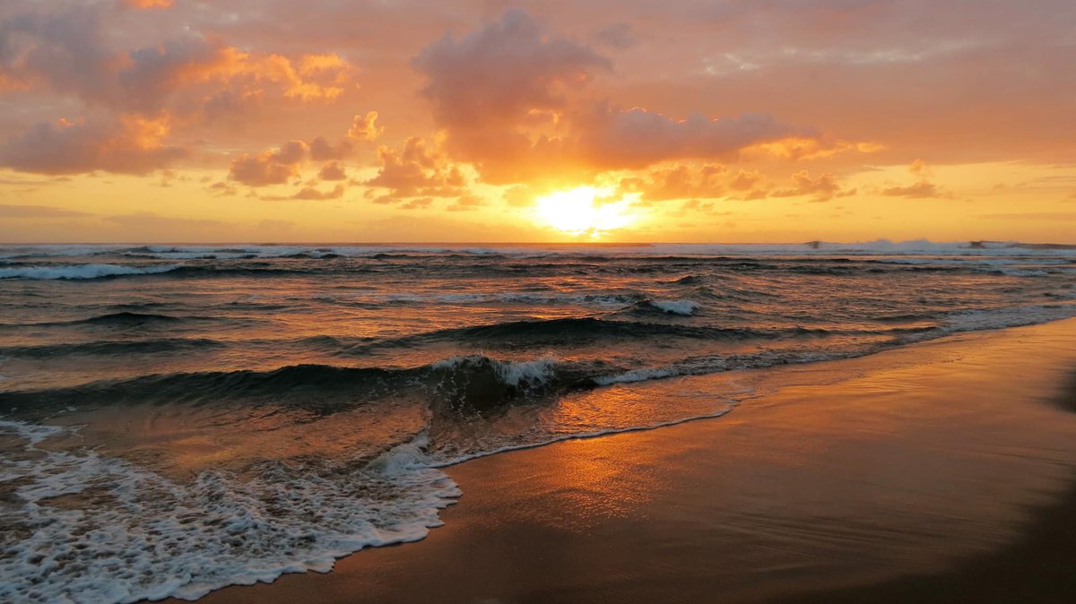 "A perfect start to the day 💛 We’ll be here waiting for the world open to up for travel again 🌍" - Anvil Bay - Chemucane, Mozambique

 #Mozambique #BeachResort #beachlodge #luxurytravel #travel #adventure