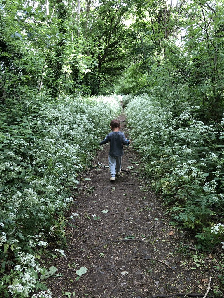 Think Social Tech tweet media