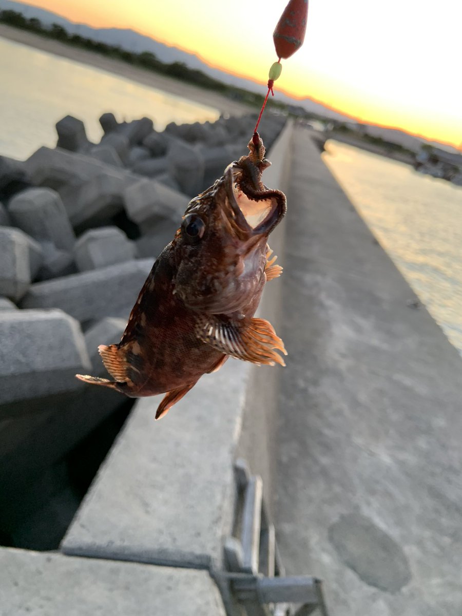 穴釣り仕掛けとタックル紹介 おすすめのエサや時期 ブラクリなど Fishing Fishing