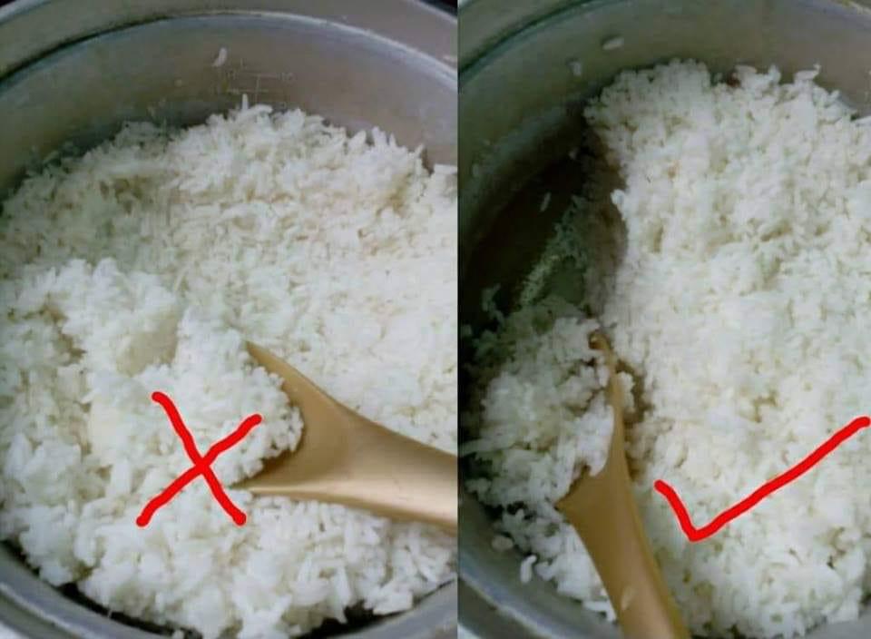 Anyieljr's tweet photo. ADAB MENCEDOK NASI

Rezeki itu cantik disama ratakan. Tak baik kita makan yang di bahagian atas bekas periuk,  sedangkan yang di bawah-bawah ditinggalkan pada orang belakang 😥 https://t.co/MUERNVo01h