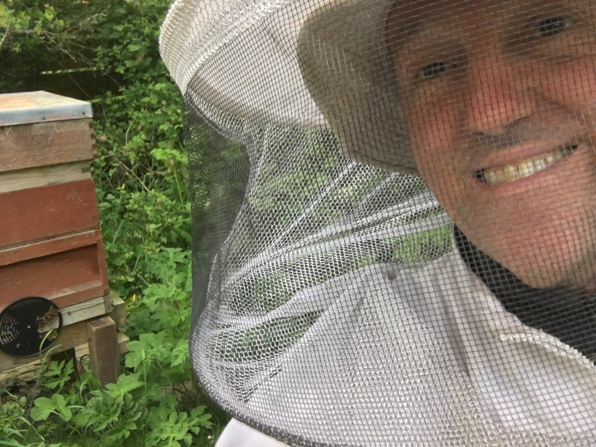 ForestHarvest's tweet photo. Bit cold this week but hopefully the #honeybees will have stocked a super of #honey by the weekend, no #SocialDistancing for them! https://t.co/L4UdoP8ab9