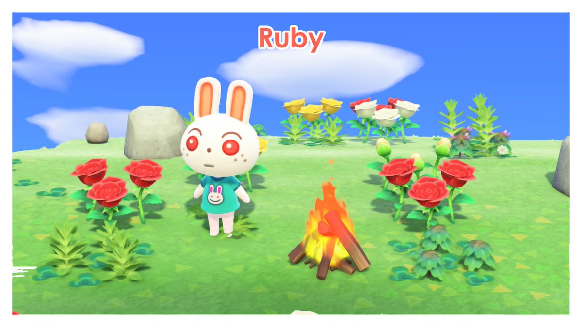 ..and this is where it starts being unfair. I wasn& #39;t interested in Bitty although she seemed really nice, same goes for Deirdre and Flo.. but Ruby?? Ruby is one of my faves but I will be skipping her.. already have a peppy villager :( I WILL COME BACK FOR U