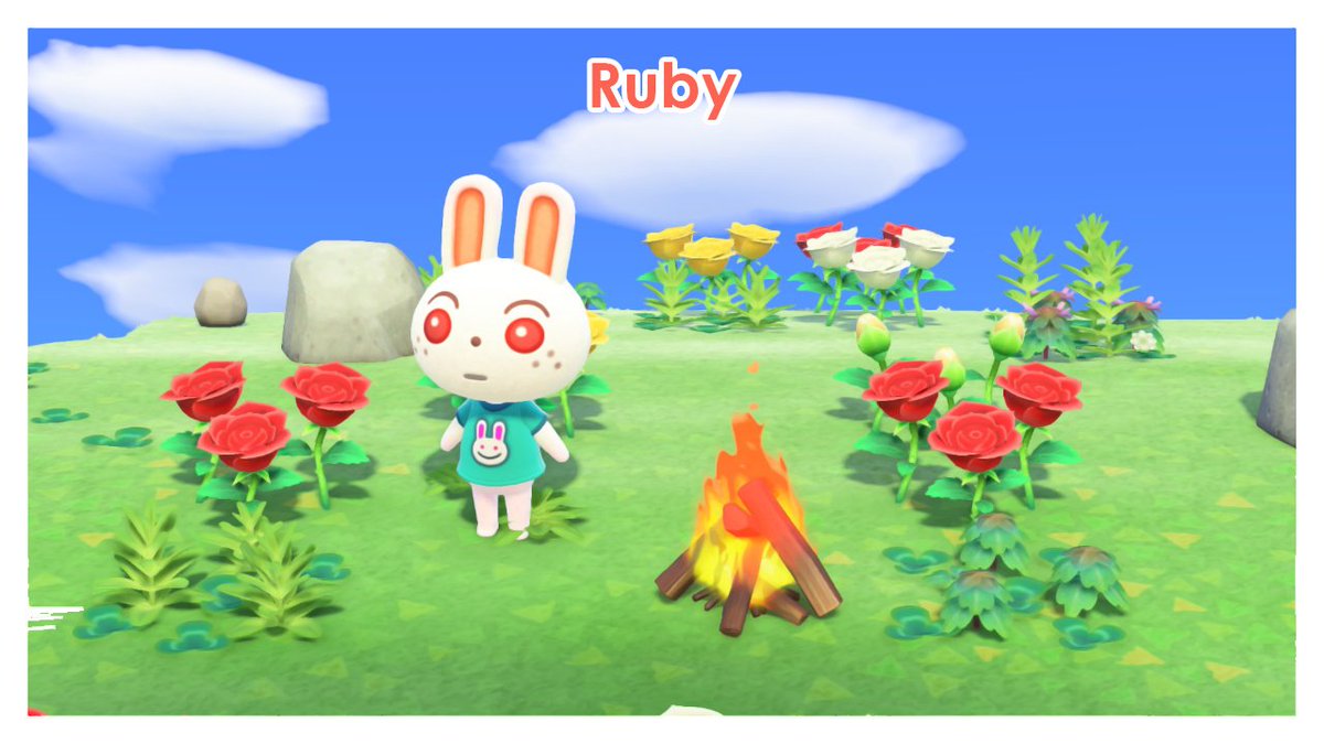 ..and this is where it starts being unfair. I wasn't interested in Bitty although she seemed really nice, same goes for Deirdre and Flo.. but Ruby?? Ruby is one of my faves but I will be skipping her.. already have a peppy villager :( I WILL COME BACK FOR U