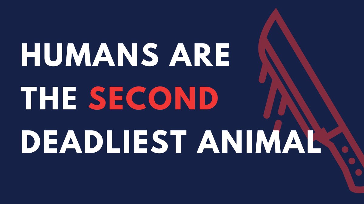 welookeditup4u's tweet photo. Believe it or not, there's one animal that's more #deadly to people than... well, other people. Find out what's number one in our episode titled, "World's Deadliest Animals".

Listen here: https://t.co/VxHtMmyYBY

#deadlyanimals #deadliestanimals https://t.co/TYAv70Wu8I