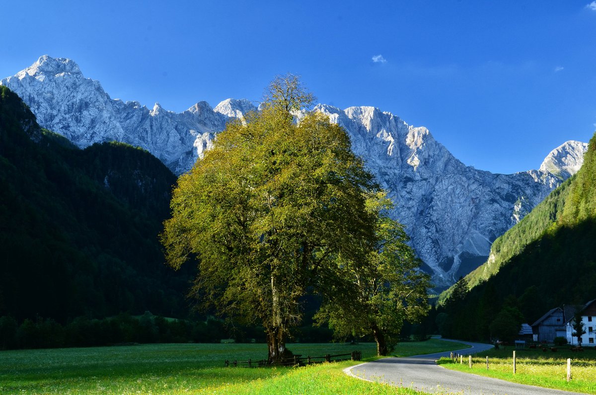 travel_slovenia's tweet photo. LOGARSKA VALLEY - located in the heart of the Kamnik Savinja Alps, #Logarska Valley is considered by many as one of the most #beautiful valleys not only in #Slovenia but in the whole of #Europe and beyond. (p: Bojan Kolman #photography) #nature #ifeelsLOVEnia #mountains #travel https://t.co/M8jja1x6xP