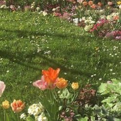 เทเลทับบี้บี้บี้

               หล่อจังงื้อหล่อหล่อ  ˓ คิสเซียน ˒ งื้อหล่อง่าหล่อหล่อหล่อหล่อ ˓ ตามทัก · แลกฟอล ˒ หล่อจังพ่อรูปหล่อหล่อหล่อหล่อ

ยพท. ลฟตท