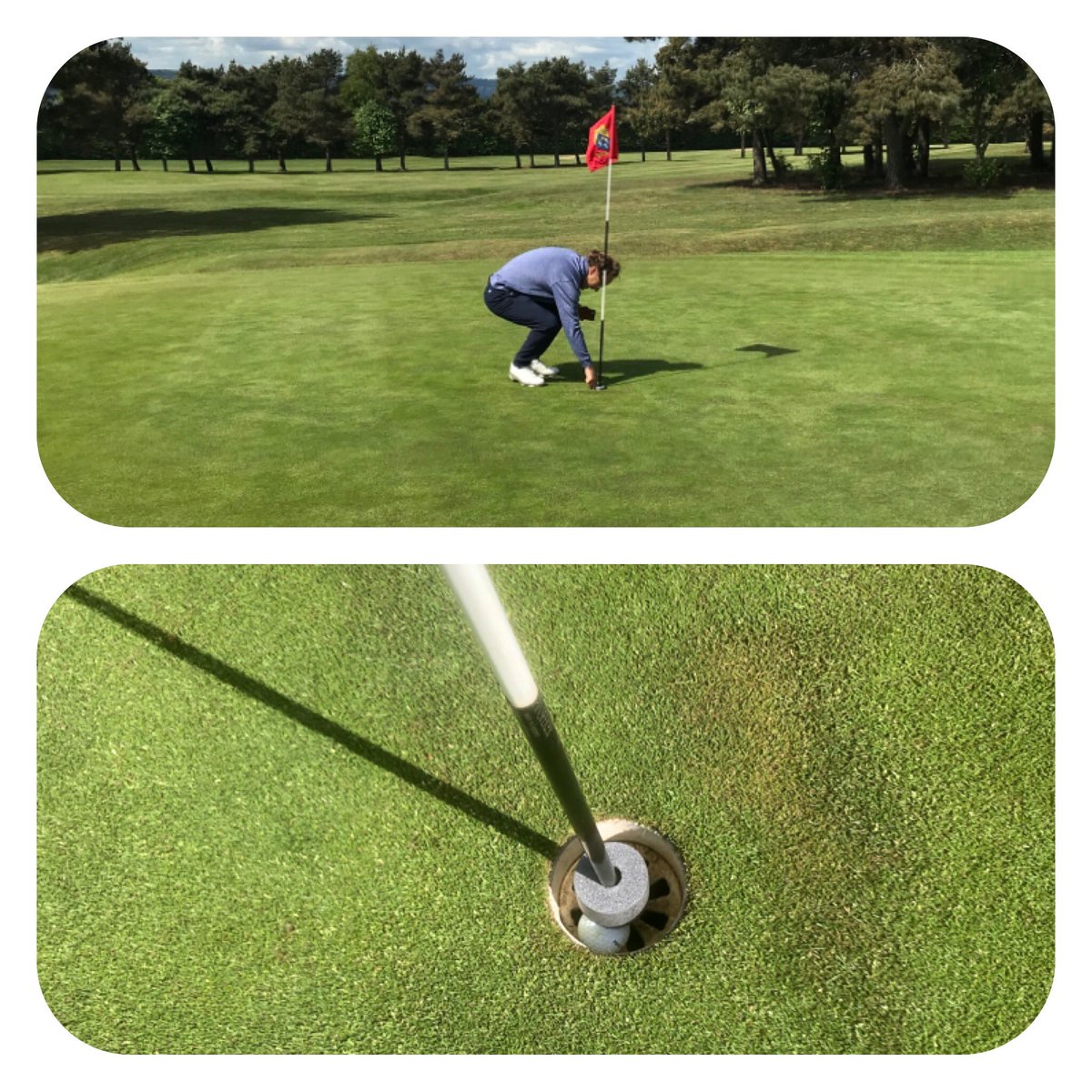 Jason Dransfield tweet media