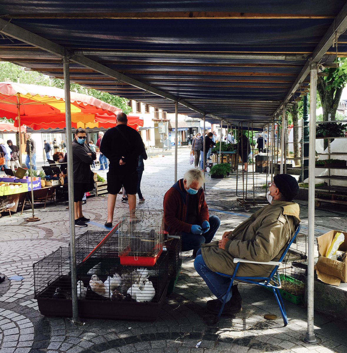 MAThierry1's tweet photo. Bref j'ai fait des photos au marché du Neubourg 😷 #avecmonmasque #Covid19 #deconfinement #eure #normandie #coronavirus @afpfr @lemondefr https://t.co/HWSuaUac9O