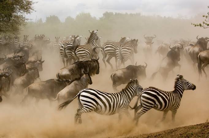 3rdLAWIII's tweet photo. Rush to #global apps without sound deliberation is tempting fate. #remote #failures.  Gain #clarity before rushing in herd fashion. https://t.co/m79jF3szUz