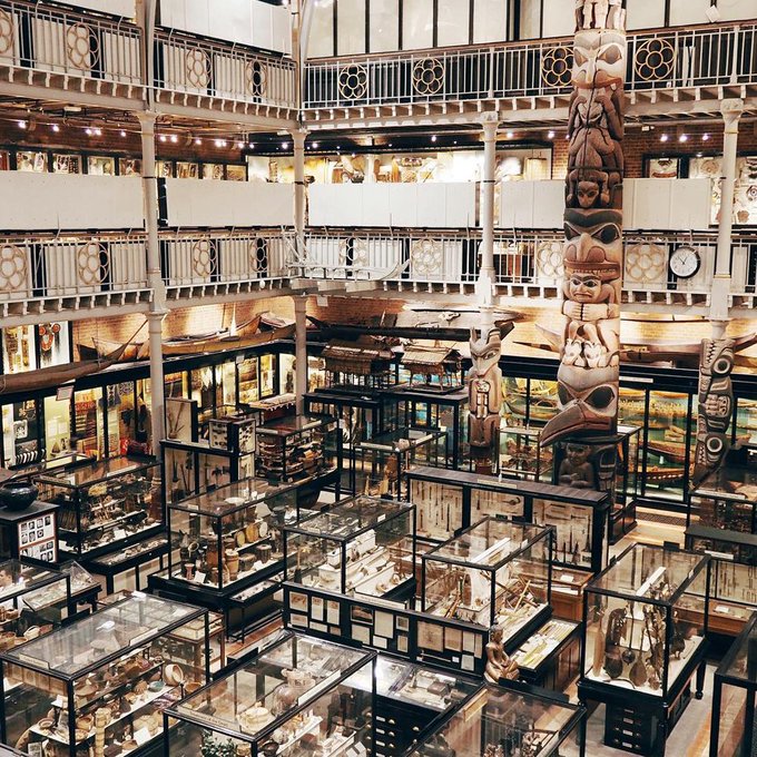 AshmoleanMuseum's tweet photo. Today's #MuseumWeek theme is 'Together'! Did you know that the city of Oxford is jam packed with museums, galleries &amp; libraries? All of which cannot wait to re-open their doors! 

@AshmoleanMuseum
@bodleianlibs
@Pitt_Rivers
 @HSMOxford 
@morethanadodo
 #mindgrowing #TogetherMW https://t.co/IvZzfud1RC