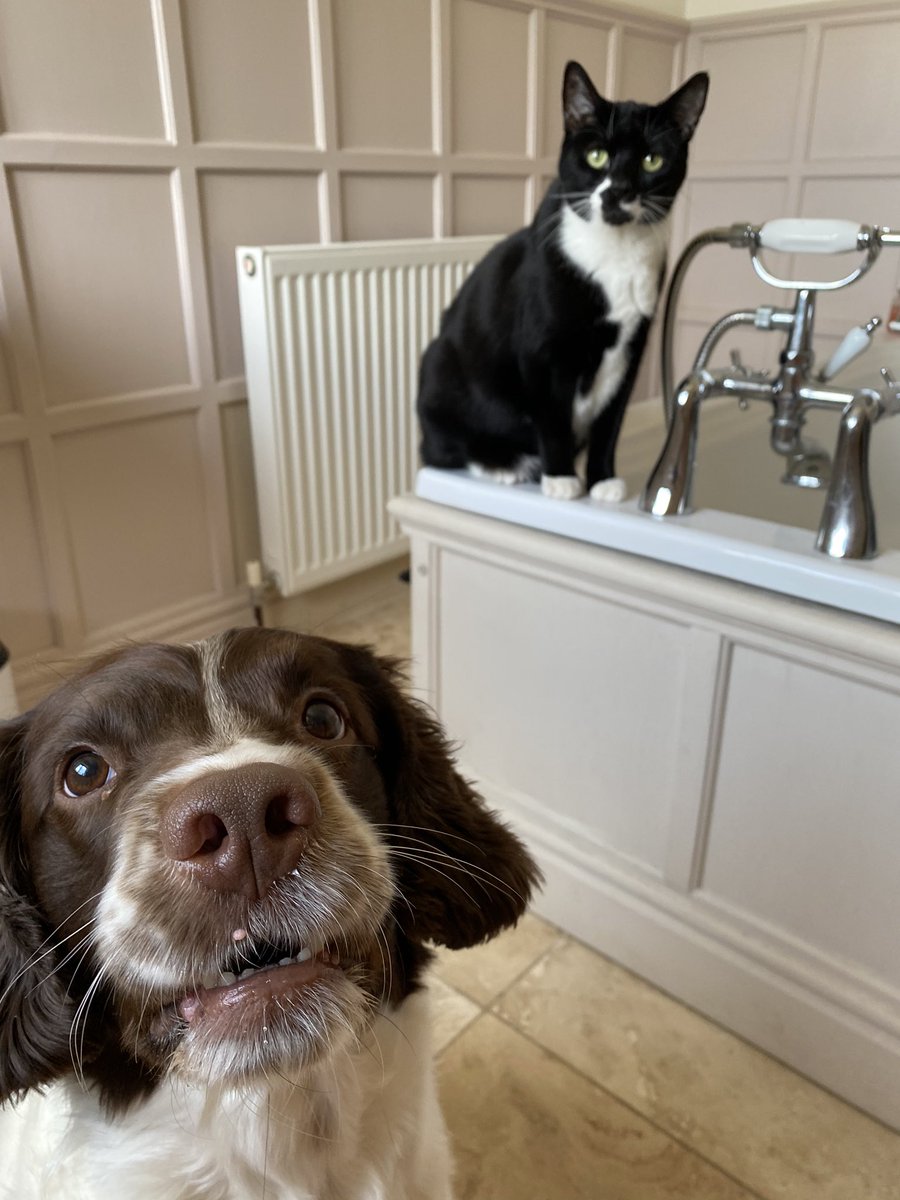 Never alone 😂 #wearewatchingyou