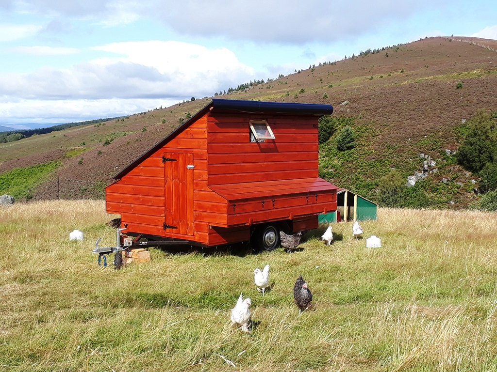 8/11 We decided to build an Eggmobile, a mobile hen house that we could tow using a quad bike. This lets the hens eat the bugs in fresh cow pats and add their own fertiliser to the fields.