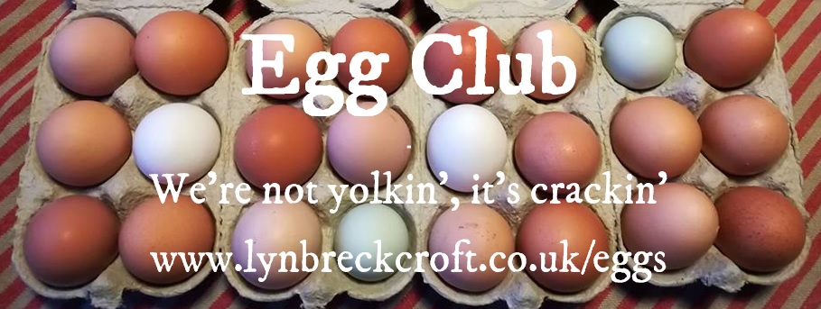 9/11 With all these new hens, we needed to expand our market. We decided to set up Egg Club, a weekly delivery service of eggs to people locally