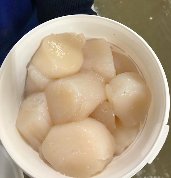 Catch of Norway Seafood tweet media