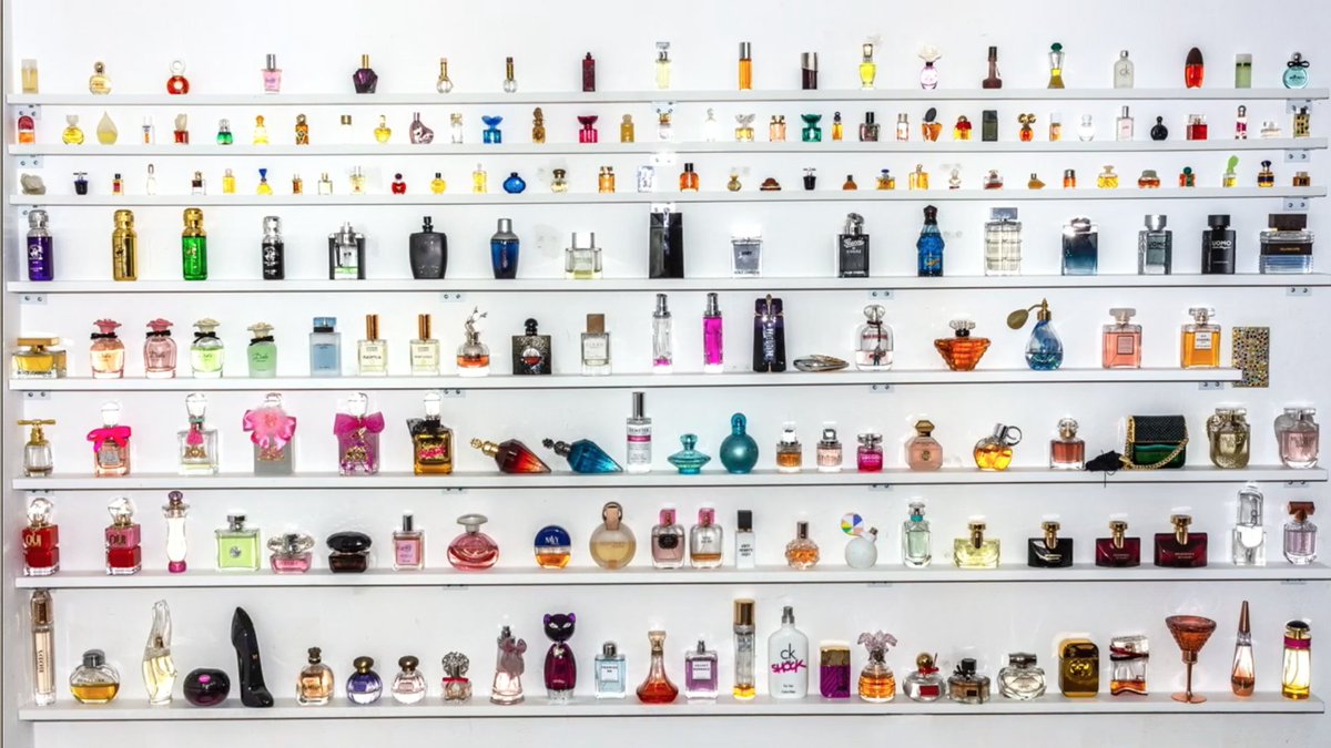 soft gasp this is my favourite perfume storage that i've seen yet... this is someone's HOUSE.... god imagine this with LED underlights i'm frothing