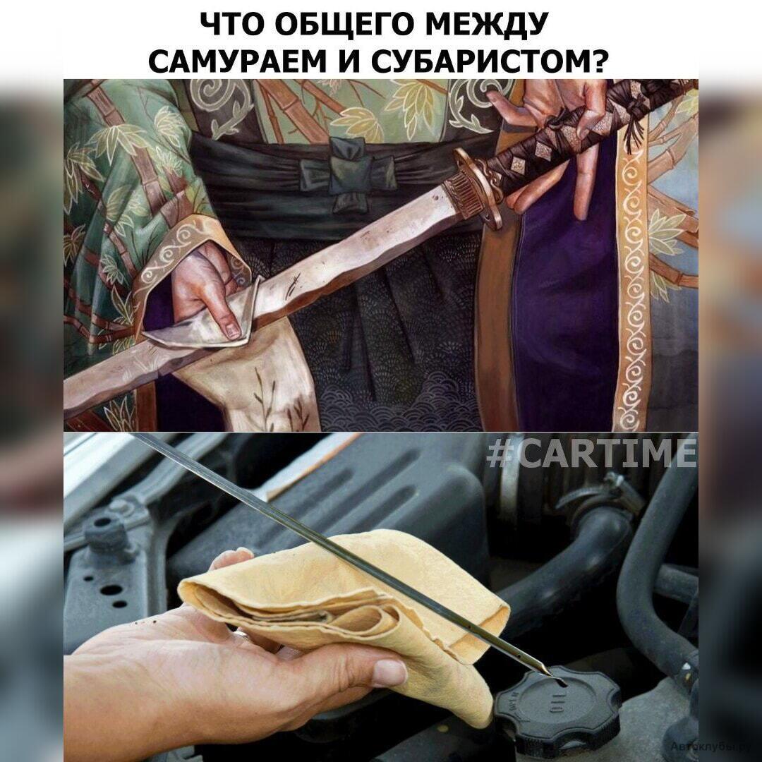 Что общего между субаристом и самураем субаристом