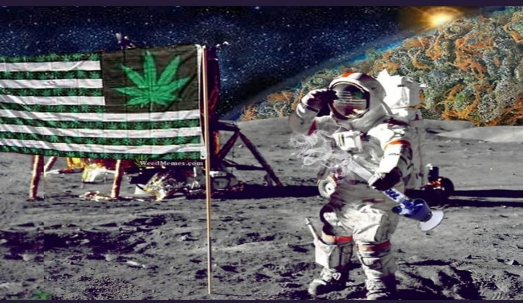 Central Smoke and Vape Shop (@central_smoke) / Posts / X Central Smoke and Vape Shop (@central_smoke) / Posts / X