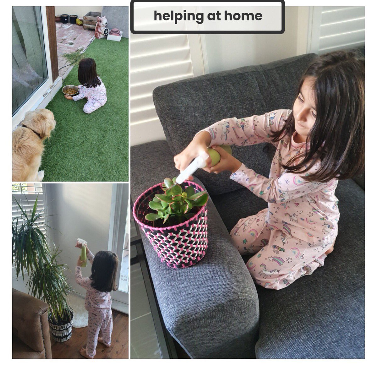 DBFFS1Turquoise's tweet photo. What can you help with around your house today? #wellbeingwednesday https://t.co/PG6sZkhTUj