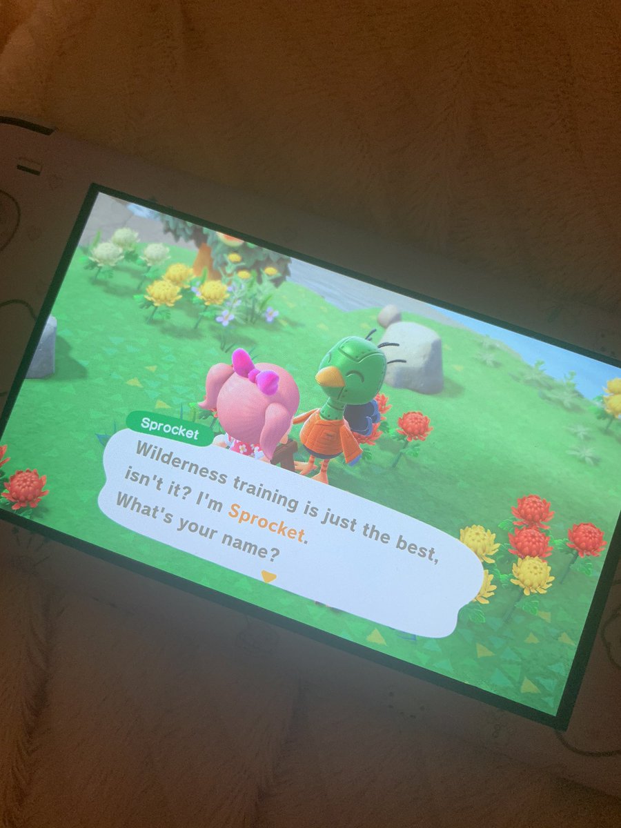 no!! no.