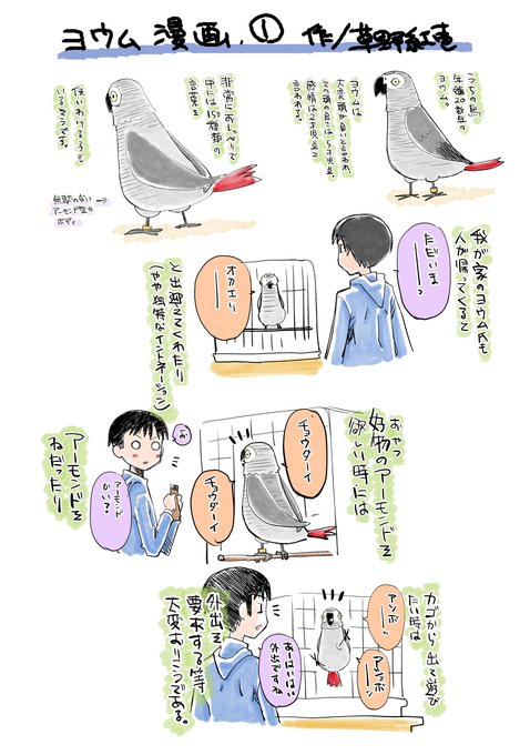 鳥漫画 を含むマンガ一覧 ツイコミ 仮 鳥漫画 を含むマンガ一覧 ツイコミ 仮