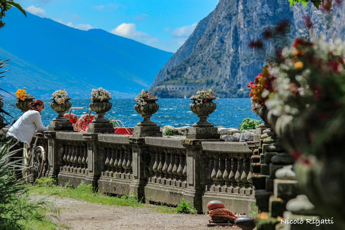NiCkRiga89's tweet photo. #lagodigarda #photo #photooftheday #colors #flowers #sky #mountains #life #love #wonderful #trentino #italy #sunny #covid_19 #top #wow #moment #nature #canon #fiori #lake #green #garden #walk https://t.co/eZzu7Z3xqH
