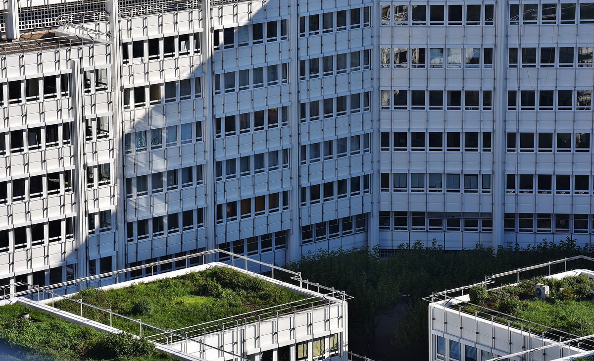 There is new policy support made by Ministry of the Environment in the Czech Republic. Financial funds for green roof realization for private and public costructions. 🥳
Source: nase-voda.cz/odbornici-i-po…

#green #support #funds
