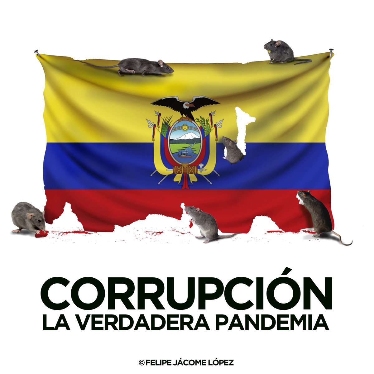 felipejacome84's tweet photo. Este otro virus no tiene cura 🐀🇪🇨🐀 https://t.co/OcFtzg4nSp