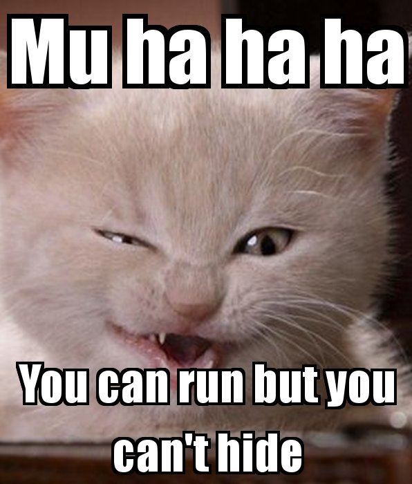 KlatuBaradaNiko's tweet image. You can run, but you can not hide
╰·⊰⦿⊱༽༼ ⊰⦿⊱·╯
unfollow me, or even try the SNEAKY #SoftBlock

I will find y◎u  &amp;amp; #BlockYou

I run some of the best #TwitterMaintenance software around

About 200 to do tonight ✧༺ ɞꐠʚ༻✧